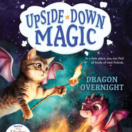 Dragon Overnight (Upside-Down Magic #4): Volume 4