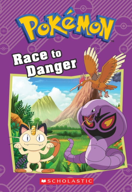 Race to Danger (Pokémon: Chapter Book)