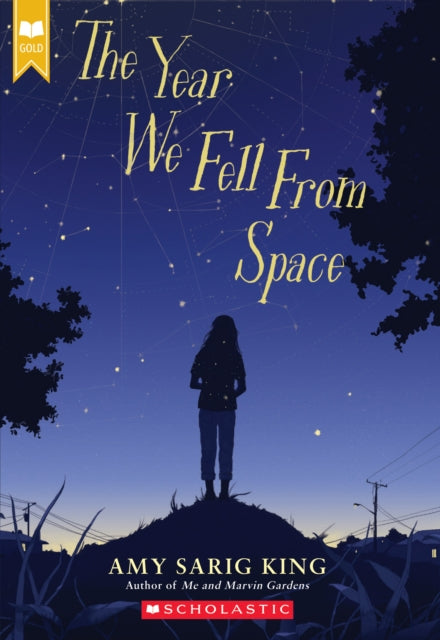 The Year We Fell From Space Scholastic Gold