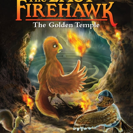 The Secret Maze: A Branches Book (the Last Firehawk #10): Volume 10