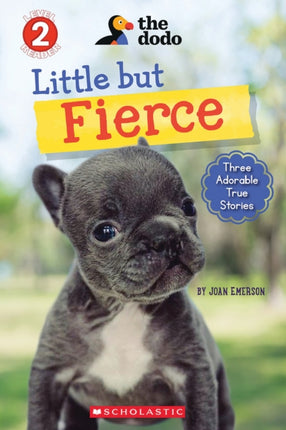 The Dodo Little But Fierce Scholastic Reader