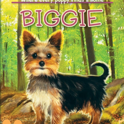 Biggie (the Puppy Place #60): Volume 60