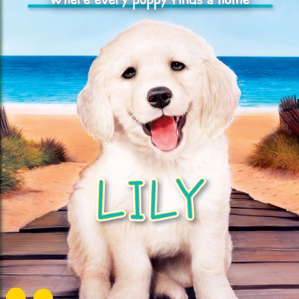 Lily (the Puppy Place #61): Volume 61