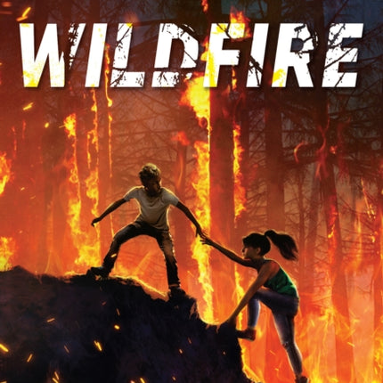 Wildfire (the Wild Series)