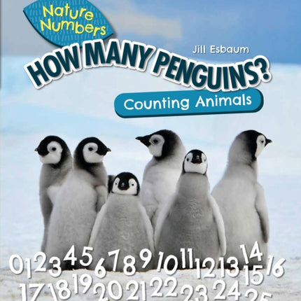 How Many Penguins Counting Animals Nature Numbers
