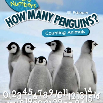 How Many Penguins Counting Animals Nature Numbers