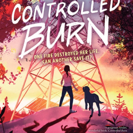 Controlled Burn