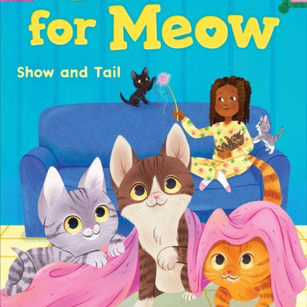 Show and Tail Home for Meow 2