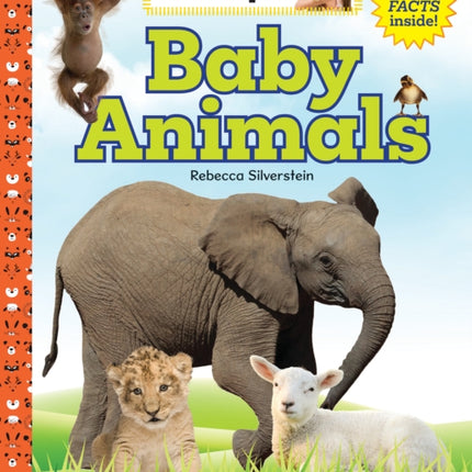 Baby Animals Be an Expert