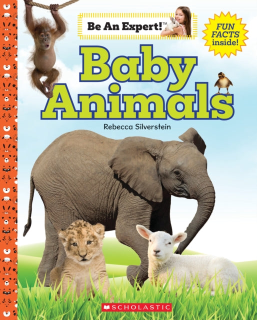 Baby Animals Be an Expert