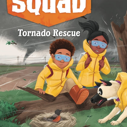 Tornado Rescue A Branches Book Disaster Squad 4