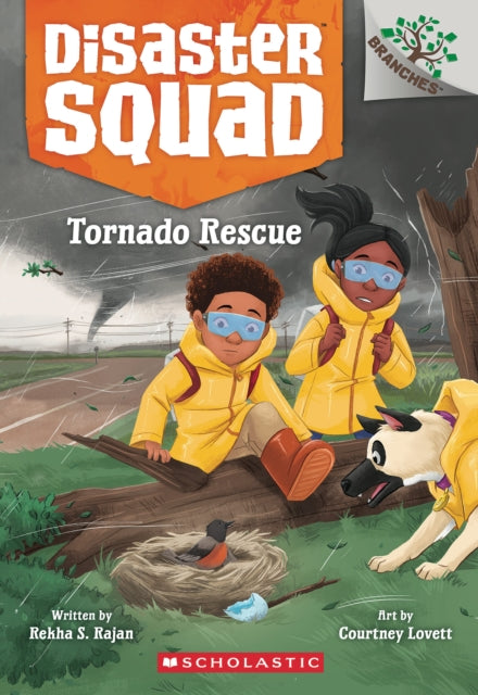Tornado Rescue A Branches Book Disaster Squad 4