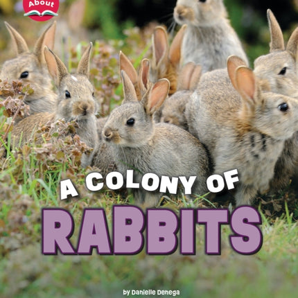 A Colony of Rabbits Learn About Animals