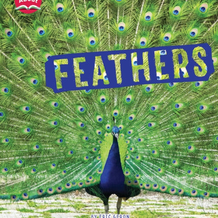 Feathers Learn About Animal Coverings