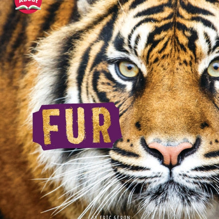 Fur Learn About Animal Coverings