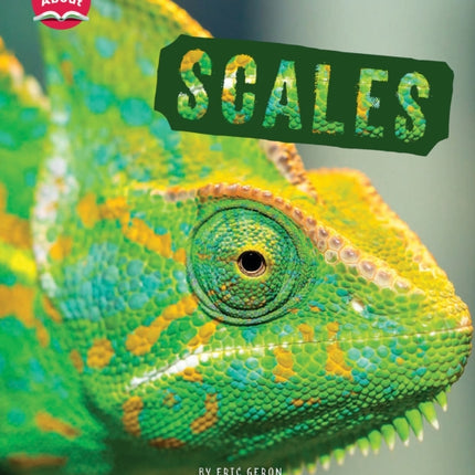 Scales (Learn About: Animal Coverings)