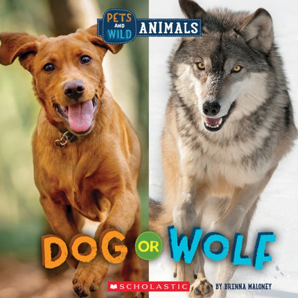 Dog or Wolf (Wild World: Pets and Wild Animals)