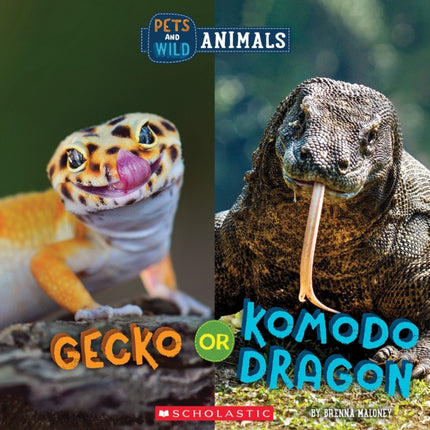 Gecko or Komodo Dragon Wild World Pets and Wild