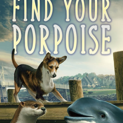 Find Your Porpoise