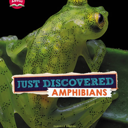 Just Discovered Amphibians Learn About Animals