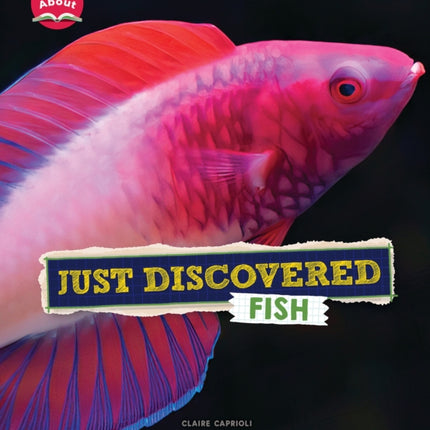 Just Discovered Fish Learn About Animals