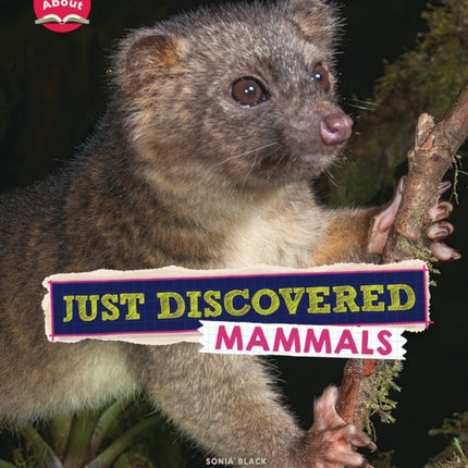 Just Discovered Mammals Learn About Animals