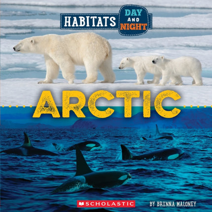 Arctic Wild World Habitats Day and Night