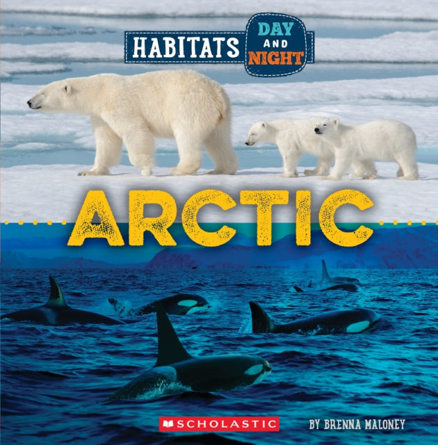 Arctic Wild World Habitats Day and Night