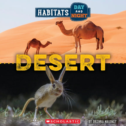 Desert Wild World Habitats Day and Night