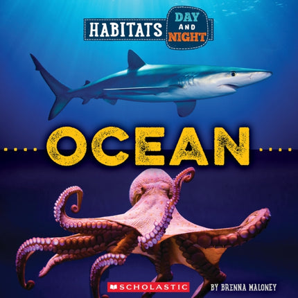 Ocean Wild World Habitats Day and Night