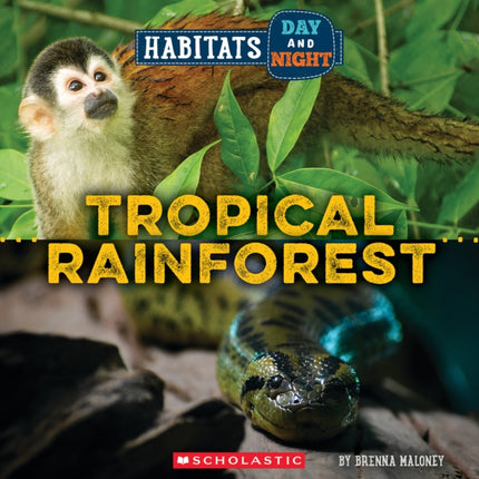 Tropical Rainforest Wild World Habitats Day and