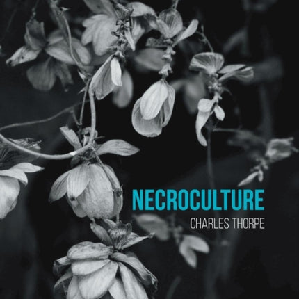 Necroculture