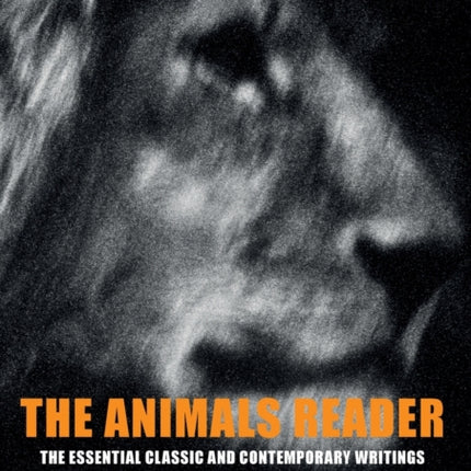 The Animals Reader