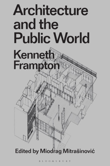 Architecture and the Public World