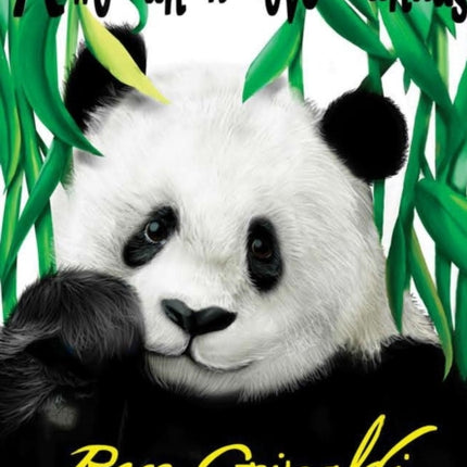 A Woman Who Loves Pandas
