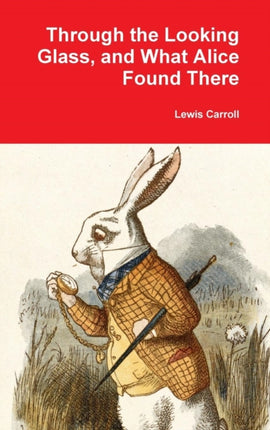 Through the Looking Glass and What Alice Found There