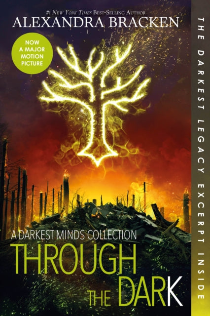 Through the Dark (Bonus Content)-A Darkest Minds Collection