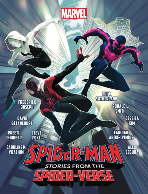 SpiderMan Stories from the SpiderVerse