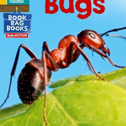 Read Write Inc. Phonics: Bugs (Yellow Set 5 NF Book Bag Book 3)