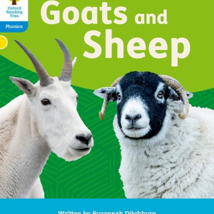 Oxford Reading Tree: Floppy's Phonics Decoding Practice: Oxford Level 3: Goats and Sheep