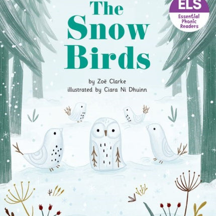 Essential Letters and Sounds: Essential Phonic Readers: Oxford Reading Level 5: The Snow Birds