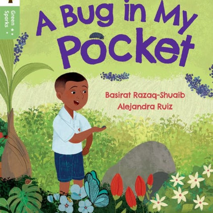 Oxford Reading Tree Green Sparks Level 5 A Bug in My Pocket