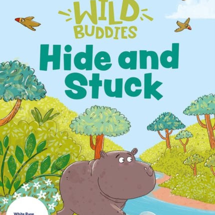 Stories for Maths Hide and Stuck
