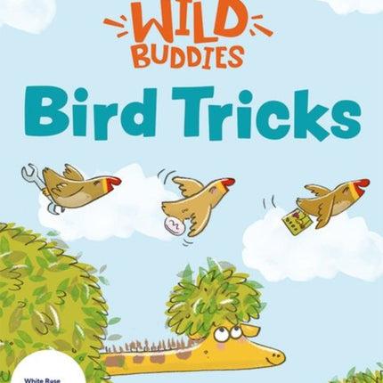 Stories for Maths Bird Tricks