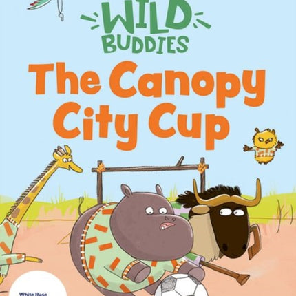 Stories for Maths The Canopy City Cup