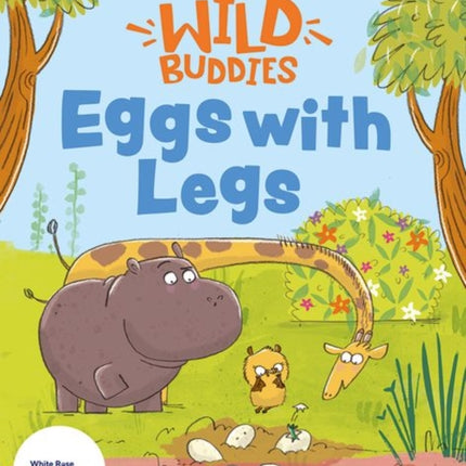 Stories for Maths Eggs with Legs