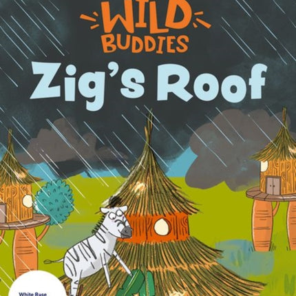 Stories for Maths Zigs Roof