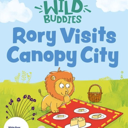 Stories for Maths Rory Visits Canopy City