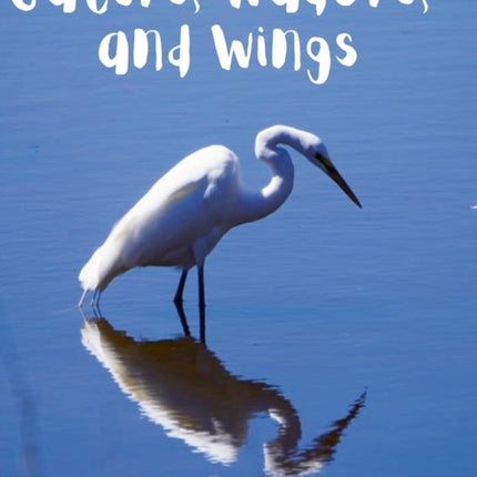 Gators Waders and Wings