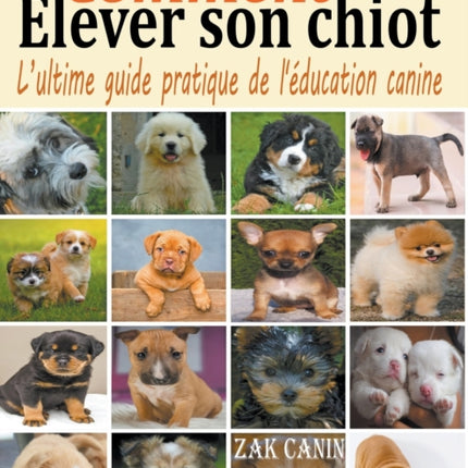 Comment elever son chiot